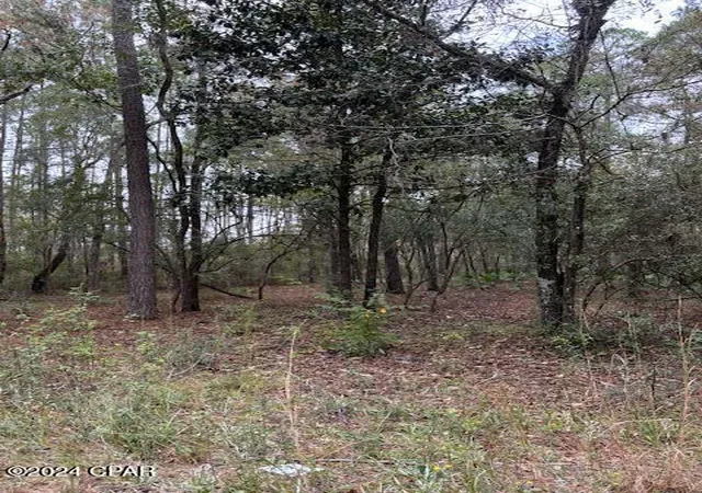 2nd image of 0000 Everest Dr, Chipley, FL 32428 | MLS# 792345