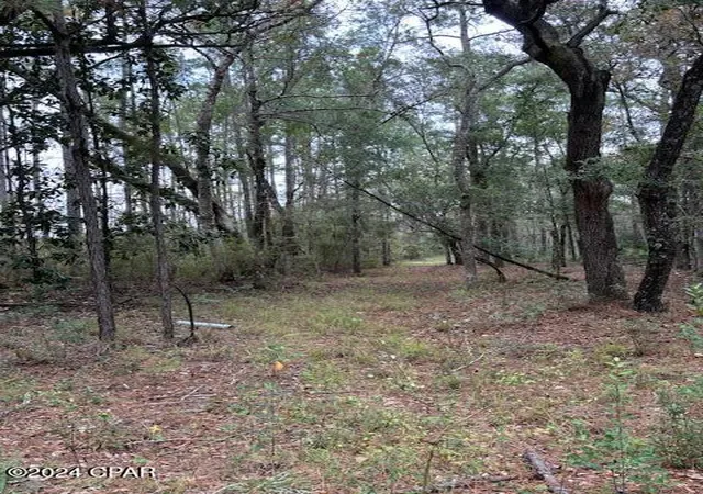 3rd image of 0000 Everest Dr, Chipley, FL 32428 | MLS# 792345
