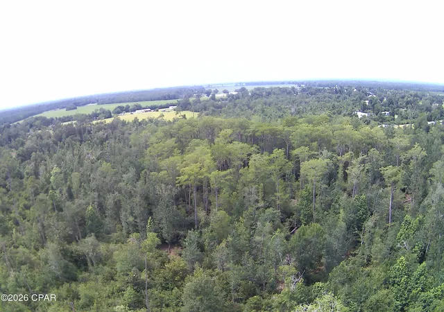 5th image of 0 Rocky Creek Rd, Marianna, FL 32448 | MLS# 792386