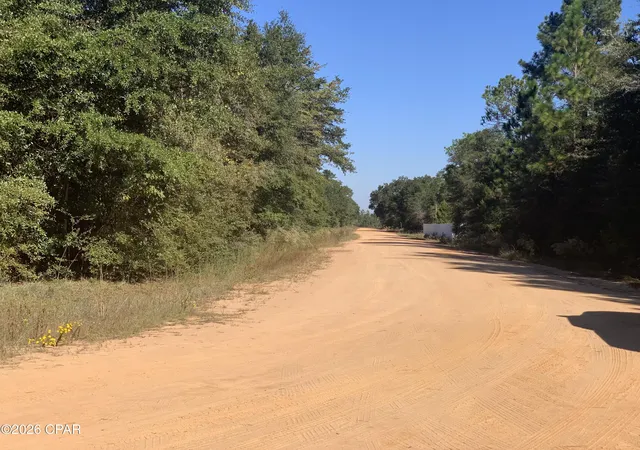 Photo 3 of Land for sale at 0 Larry St, Alford, FL 32420 | MLS# 792422 | Listing updated on 2026-07-10