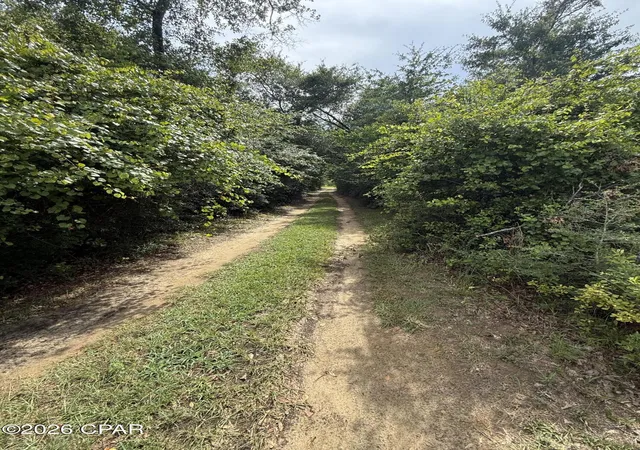 Homes for sale in Cottondale, FL | 2243 Syfrett Rd, Cottondale, FL 32431 | MLS# 792444