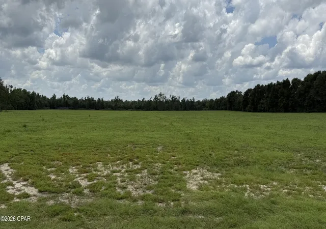 2nd image of 0 E Delta Ln, Marianna, FL 32448 | MLS# 792458