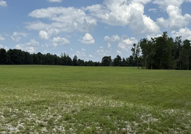 3rd image of 0 E Delta Ln, Marianna, FL 32448 | MLS# 792458