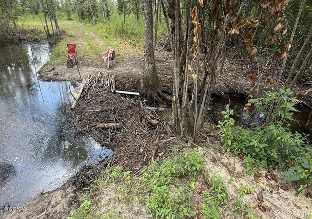 6th image of 0 E Delta Ln, Marianna, FL 32448 | MLS# 792458