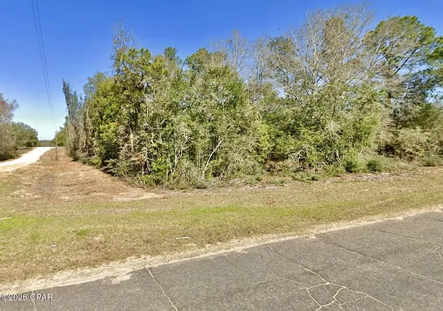 1st image of 0 W Laurel Dr, Alford, FL 32420 | MLS# 792495