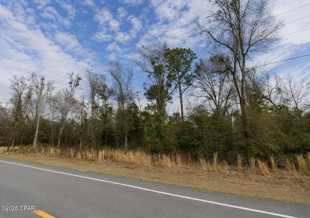2nd image of 0 S Hwy 71, Wewahitchka, FL 32465 | MLS# 792623