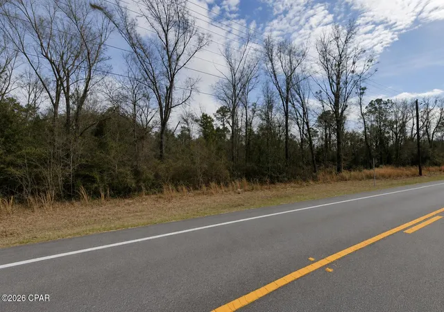 3rd image of 0 S Hwy 71, Wewahitchka, FL 32465 | MLS# 792623