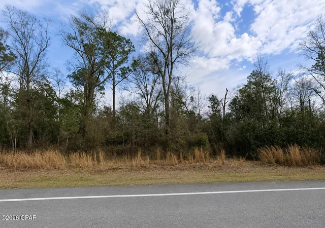 4th image of 0 S Hwy 71, Wewahitchka, FL 32465 | MLS# 792623