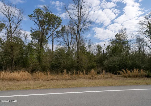 5th image of 0 S Hwy 71, Wewahitchka, FL 32465 | MLS# 792623