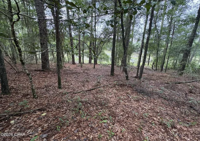 Homes for sale in Chipley, FL | Lot 5 Malone Pl, Chipley, FL 32428 | MLS# 792630