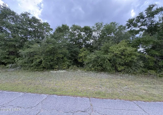 Homes for sale in Chipley, FL | Lot 5 Malone Pl, Chipley, FL 32428 | MLS# 792630