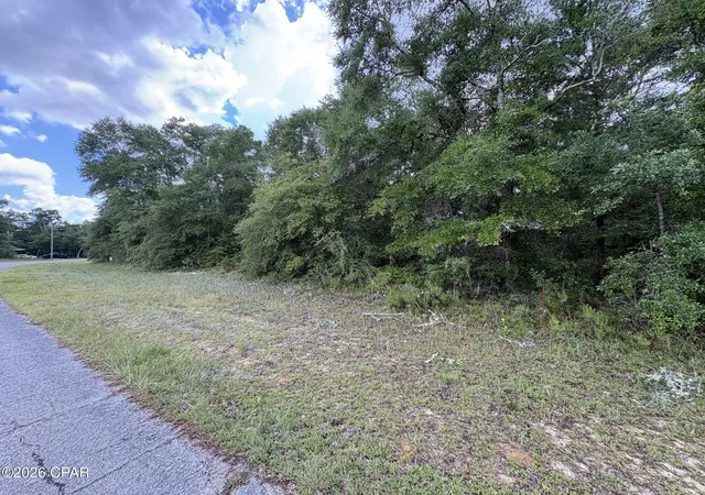 Homes for sale in Chipley, FL | Lot 5 Malone Pl, Chipley, FL 32428 | MLS# 792630