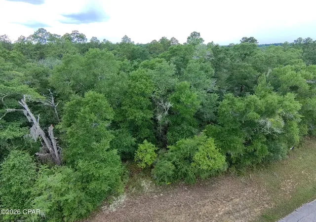 Homes for sale in Chipley, FL | Lot 5 Malone Pl, Chipley, FL 32428 | MLS# 792630