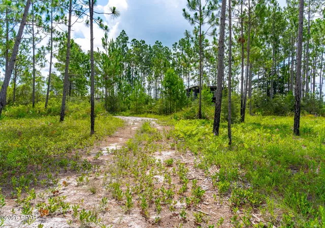 30th image of 18972 Timbercrest Rd, Fountain, FL 32438 | MLS# 792663
