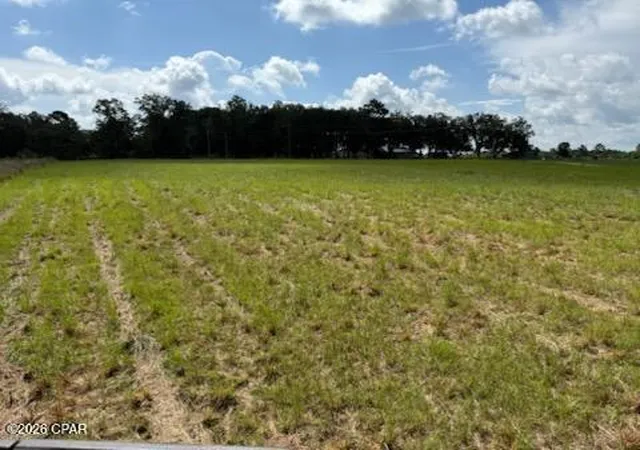 Photo 3 of Land for sale at 0 Walker Rd, Graceville, FL 32440 | MLS# 792903 | Listing updated on 2026-10-05