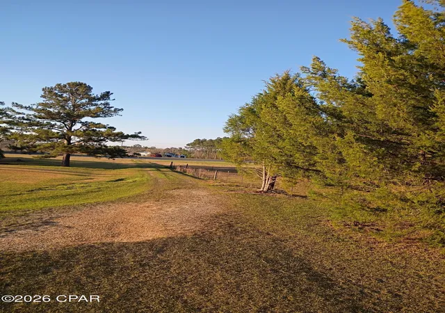 Photo 3 of Land for sale at 0 Highway 79, Vernon, FL 32462 | MLS# 793016 | Listing updated on 2026-09-19