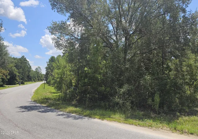 Photo 4 of Sale Pending at 253 Acres Lucas Lake Rd, Chipley, FL 32428 | MLS# 793777 | Listing updated on 2026-10-07