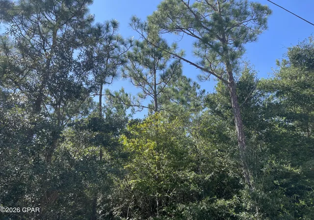 Photo 1 of Land for sale at 0000 Crossvine Ct, Chipley, FL 32428 | MLS# 795466 | Listing updated on 2026-09-16