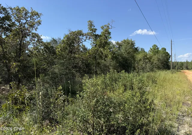 Photo 2 of Land for sale at 0000 Crossvine Ct, Chipley, FL 32428 | MLS# 795466 | Listing updated on 2026-09-16