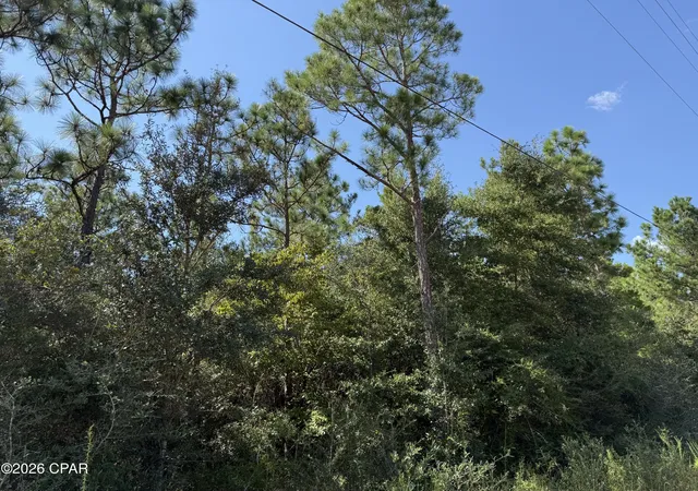Photo 3 of Land for sale at 0000 Crossvine Ct, Chipley, FL 32428 | MLS# 795466 | Listing updated on 2026-09-16