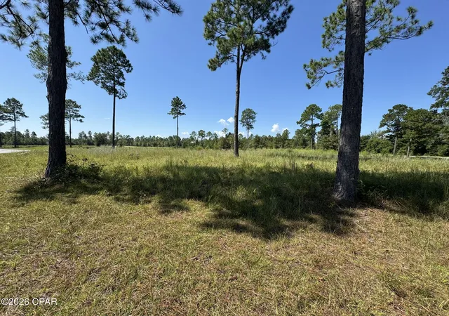 Land for sale at 0000 Cross Country Blvd, Marianna, FL 32446 | MLS# 795491