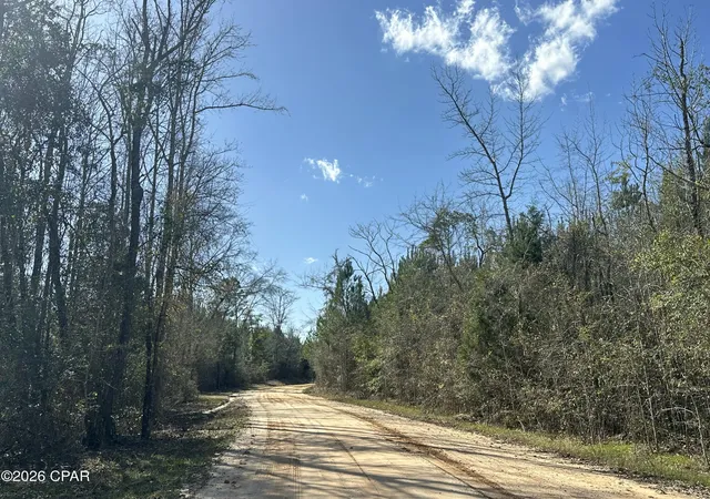 Photo 3 of Land for sale at Tract#6317 N Harris Stevenson Rd, Bonifay, FL 32425 | MLS# 795495 | Listing updated on 2026-09-16