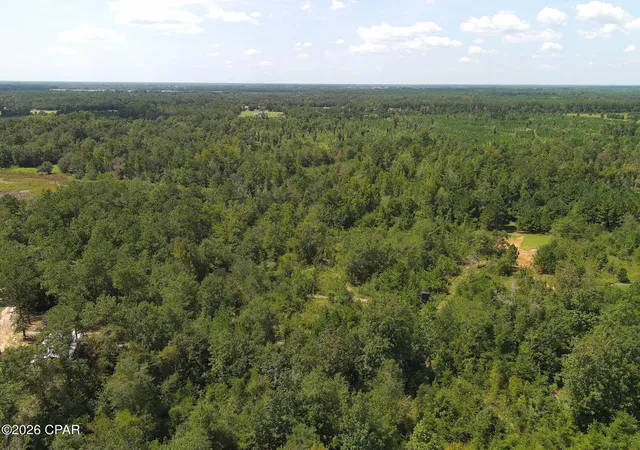 Photo 3 of Land for sale at 0 River Rd, Sneads, FL 32460 | MLS# 795525 | Listing updated on 2026-09-18