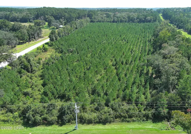 Photo 3 of Land for sale at Tbd Pioneer Rd, Chipley, FL 32428 | MLS# 795528 | Listing updated on 2026-09-17