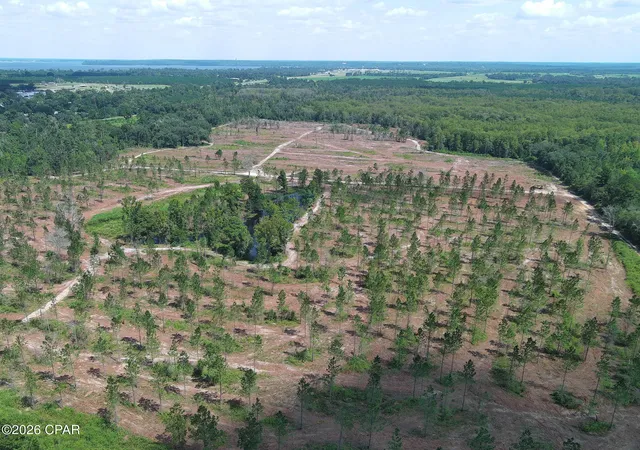Land for sale at Tbd Gloster Ave, Sneads, FL 32460 | MLS# 795538