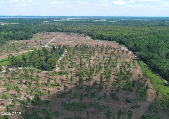 Photo 1 of Land for sale at Tbd Gloster Ave, Sneads, FL 32460 | MLS# 795538 | Listing updated on 2026-09-18