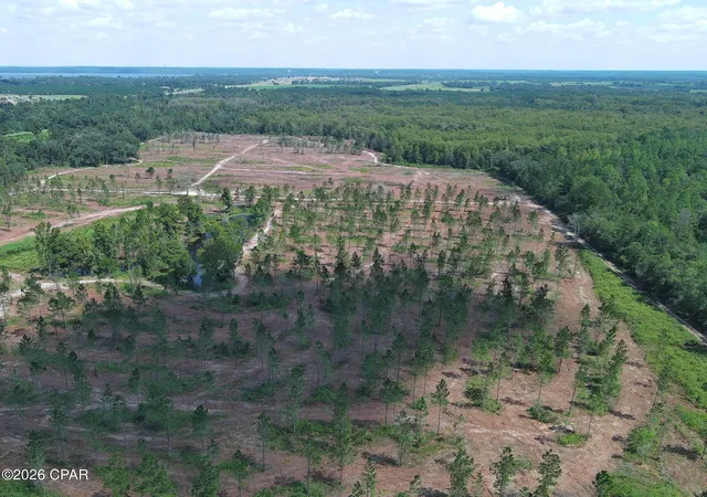 Photo 2 of Land for sale at Tbd Gloster Ave, Sneads, FL 32460 | MLS# 795538 | Listing updated on 2026-09-18