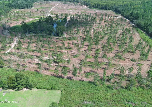 Photo 3 of Land for sale at Tbd Gloster Ave, Sneads, FL 32460 | MLS# 795538 | Listing updated on 2026-09-18