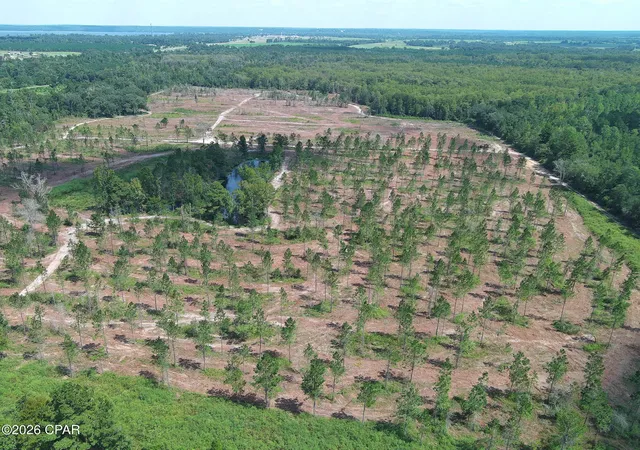 Photo 4 of Land for sale at Tbd Gloster Ave, Sneads, FL 32460 | MLS# 795538 | Listing updated on 2026-09-18