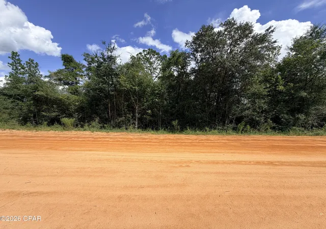 Photo 3 of Land for sale at 0 Fairborn Ave, Alford, FL 32420 | MLS# 795565 | Listing updated on 2026-09-22