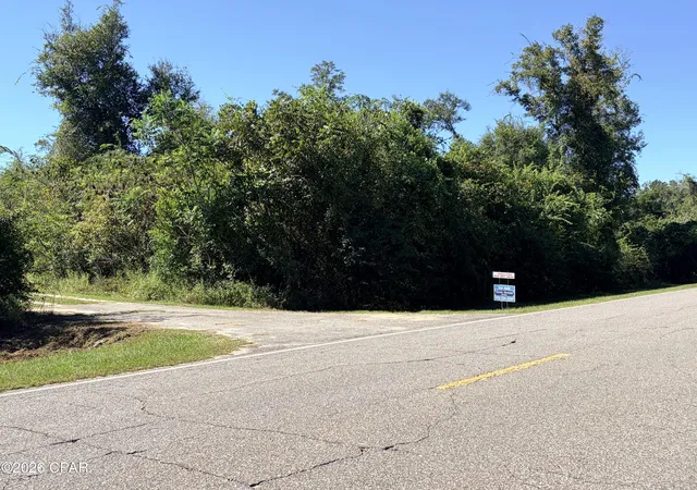 Photo 2 of Land for sale at 0 Blue Springs Rd, Greenwood, FL 32443 | MLS# 795667 | Listing updated on 2026-09-30