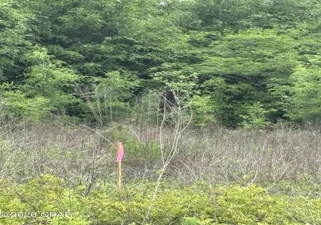 Photo 3 of Land for sale at 0 Blue Springs Rd, Greenwood, FL 32443 | MLS# 795667 | Listing updated on 2026-09-30