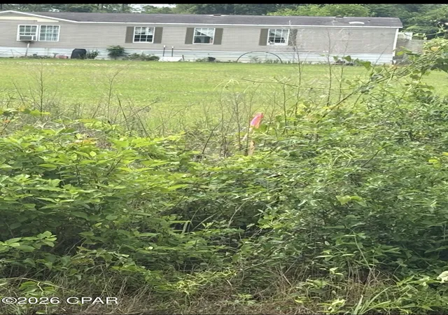 Photo 4 of Land for sale at 0 Blue Springs Rd, Greenwood, FL 32443 | MLS# 795667 | Listing updated on 2026-09-30