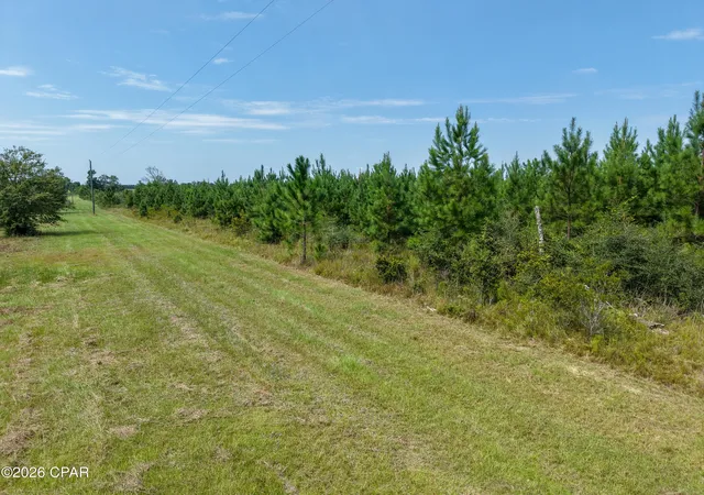 Photo 1 of Land for sale at 00 Beechum Ln, Marianna, FL 32448 | MLS# 795691 | Listing updated on 2026-09-22