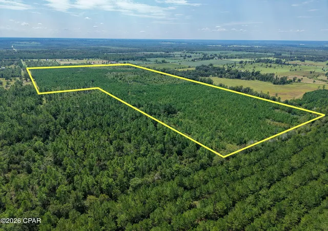 Photo 2 of Land for sale at 00 Beechum Ln, Marianna, FL 32448 | MLS# 795691 | Listing updated on 2026-09-22