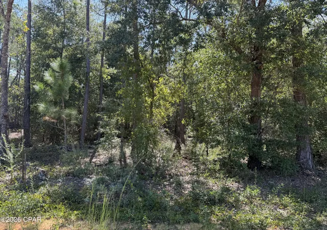 Photo 1 of Land for sale at 0 Abraham St, Alford, FL 32420 | MLS# 795711 | Listing updated on 2026-09-22