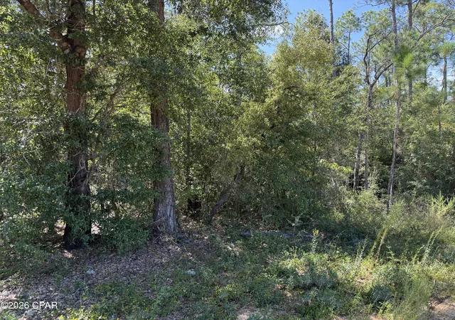Photo 2 of Land for sale at 0 Abraham St, Alford, FL 32420 | MLS# 795711 | Listing updated on 2026-09-22