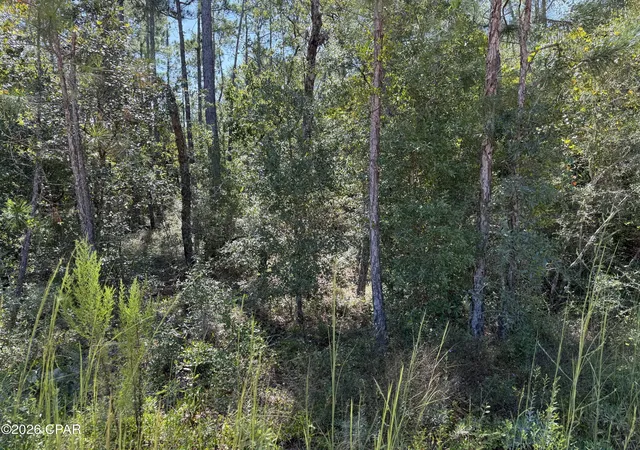 Photo 3 of Land for sale at 0 Abraham St, Alford, FL 32420 | MLS# 795711 | Listing updated on 2026-09-22