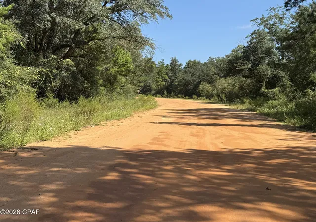 Photo 1 of Land for sale at 0 Anderson Dr, Alford, FL 32420 | MLS# 795720 | Listing updated on 2026-09-22