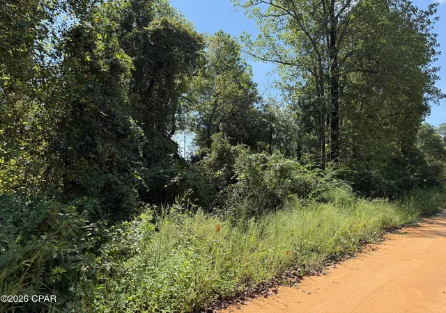 Photo 2 of Land for sale at 0 Anderson Dr, Alford, FL 32420 | MLS# 795720 | Listing updated on 2026-09-22