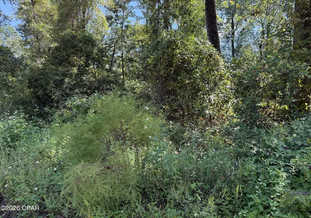 Photo 3 of Land for sale at 0 Anderson Dr, Alford, FL 32420 | MLS# 795720 | Listing updated on 2026-09-22