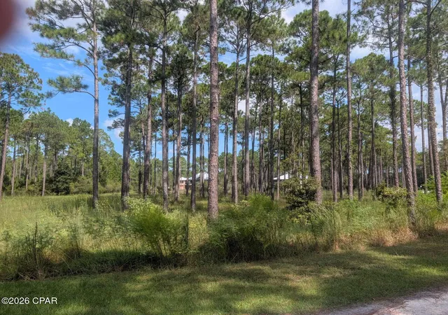 Photo 4 of Land for sale at 7711 Magnolia Pond Trl, Panama City Beach, FL 32413 | MLS# 795738 | Listing updated on 2026-09-24