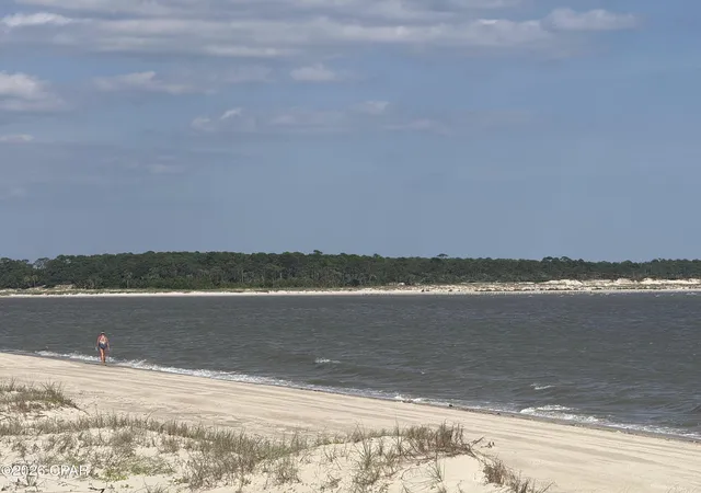 Photo 3 of Land for sale at 198 Egret Landing Ct, Port Saint Joe, FL 32456 | MLS# 795740 | Listing updated on 2026-10-02