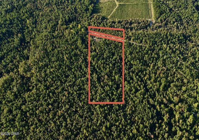 Land for sale at 00 Pitts Rd, Fountain, FL 32438 | MLS# 795920
