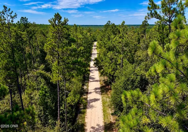 Photo 1 of Land for sale at 00 Pitts Rd, Fountain, FL 32438 | MLS# 795920 | Listing updated on 2026-09-28
