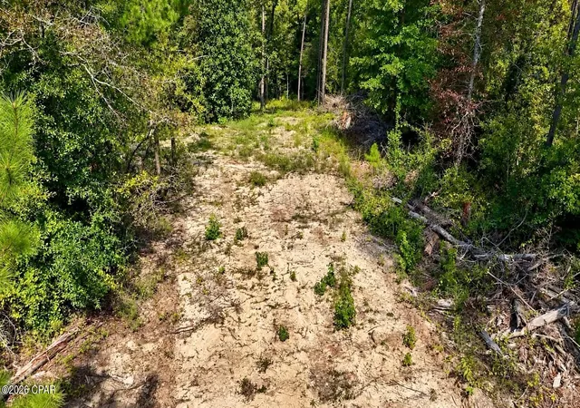 Photo 3 of Land for sale at 00 Pitts Rd, Fountain, FL 32438 | MLS# 795920 | Listing updated on 2026-09-28